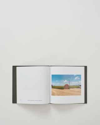 william eggleston's guide