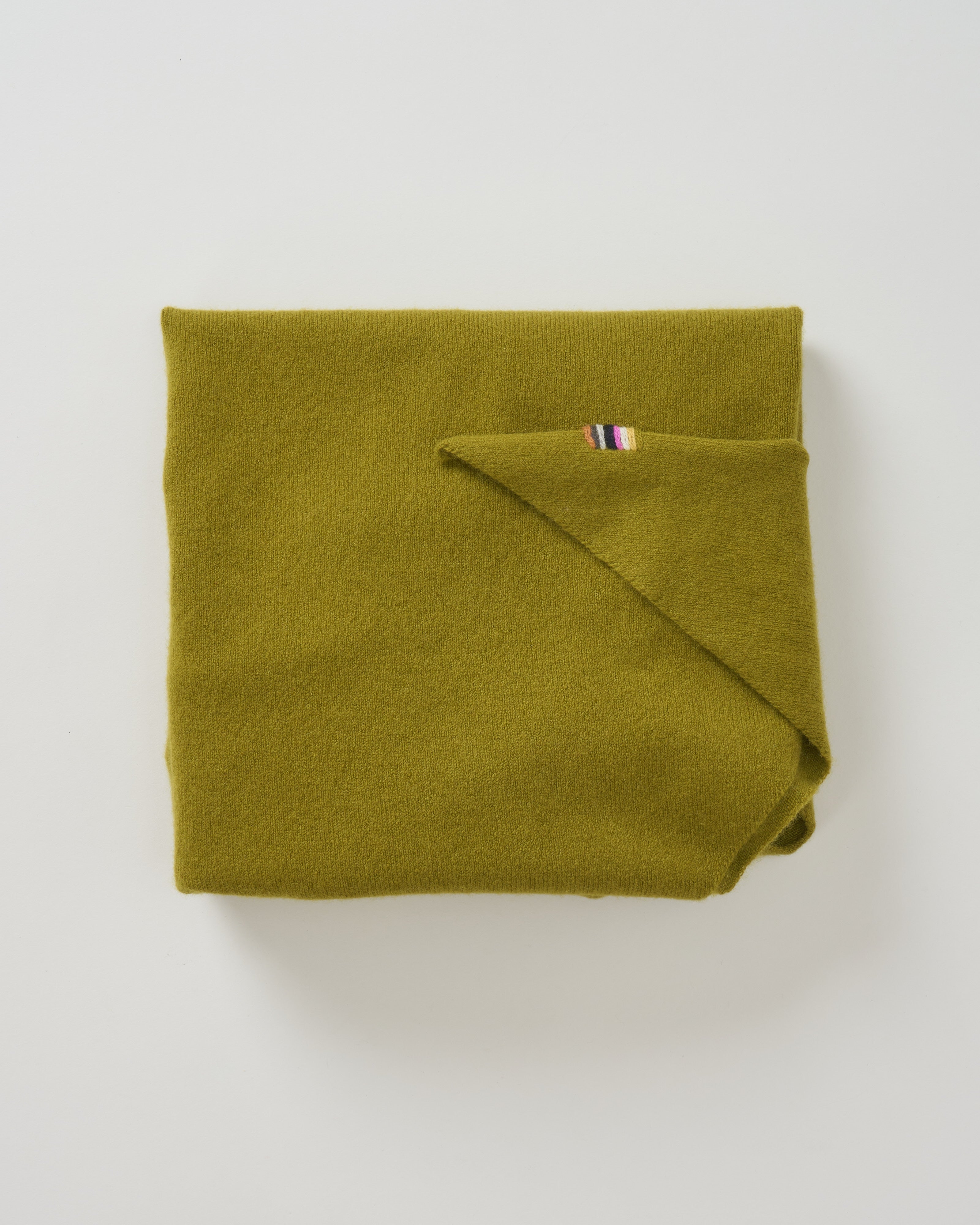 Extreme Cashmere Witch Double-Faced Cashmere Bandana Grass