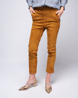 provence stretch suede pant - honey