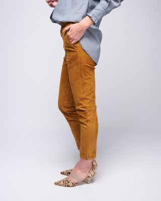 provence stretch suede pant - honey
