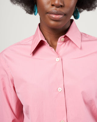 clavelly shirt - pink 305