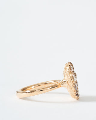 into the wild ring