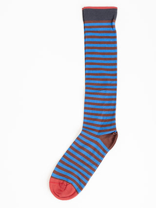 knee high socks - chataigne w/ cobalt/chocolate stripe