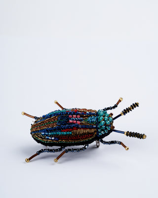 castiarina beetle brooch