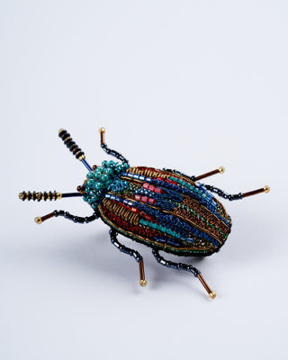 castiarina beetle brooch
