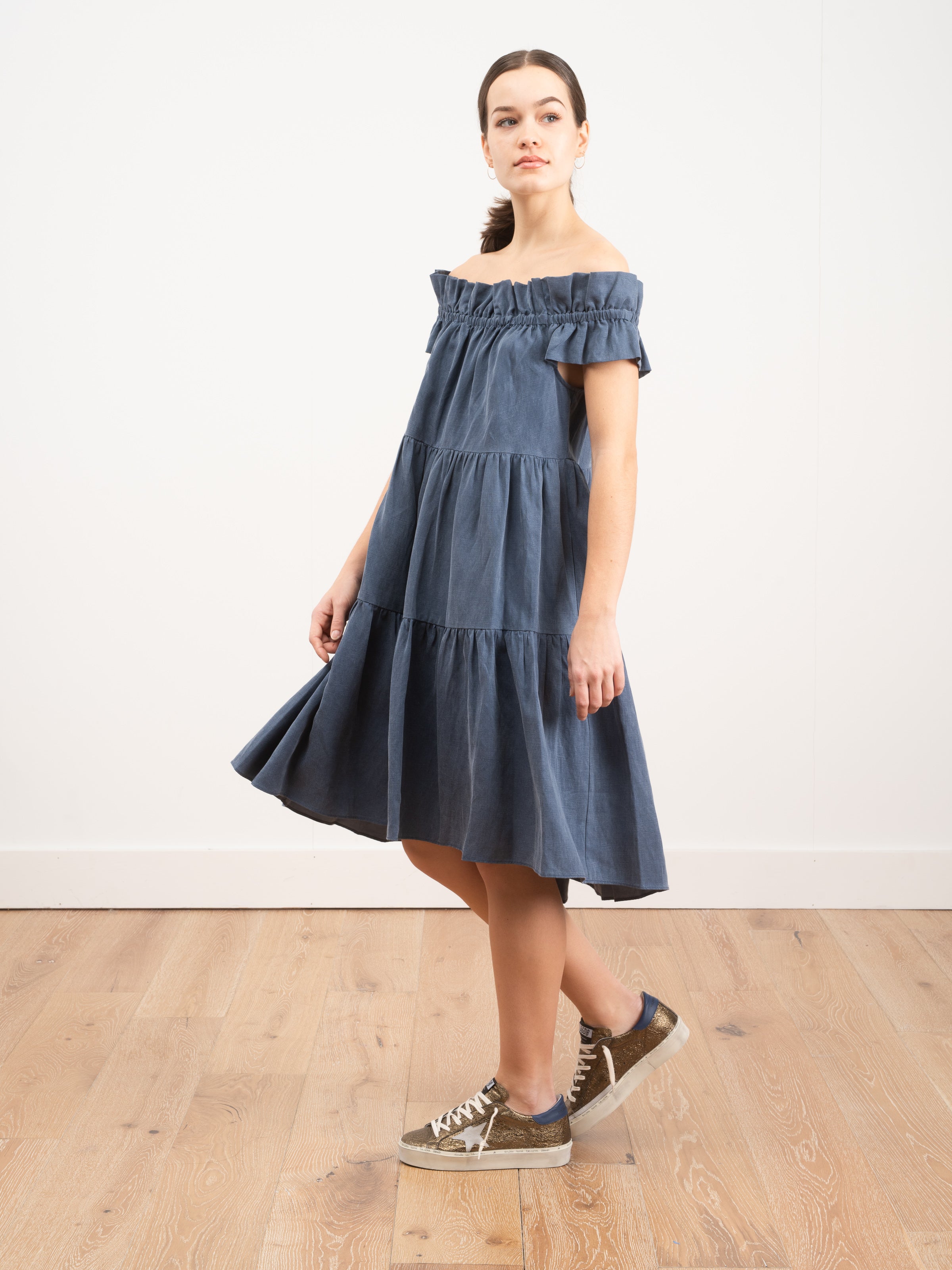 Ulla Johnson Olivia Dress Chambray